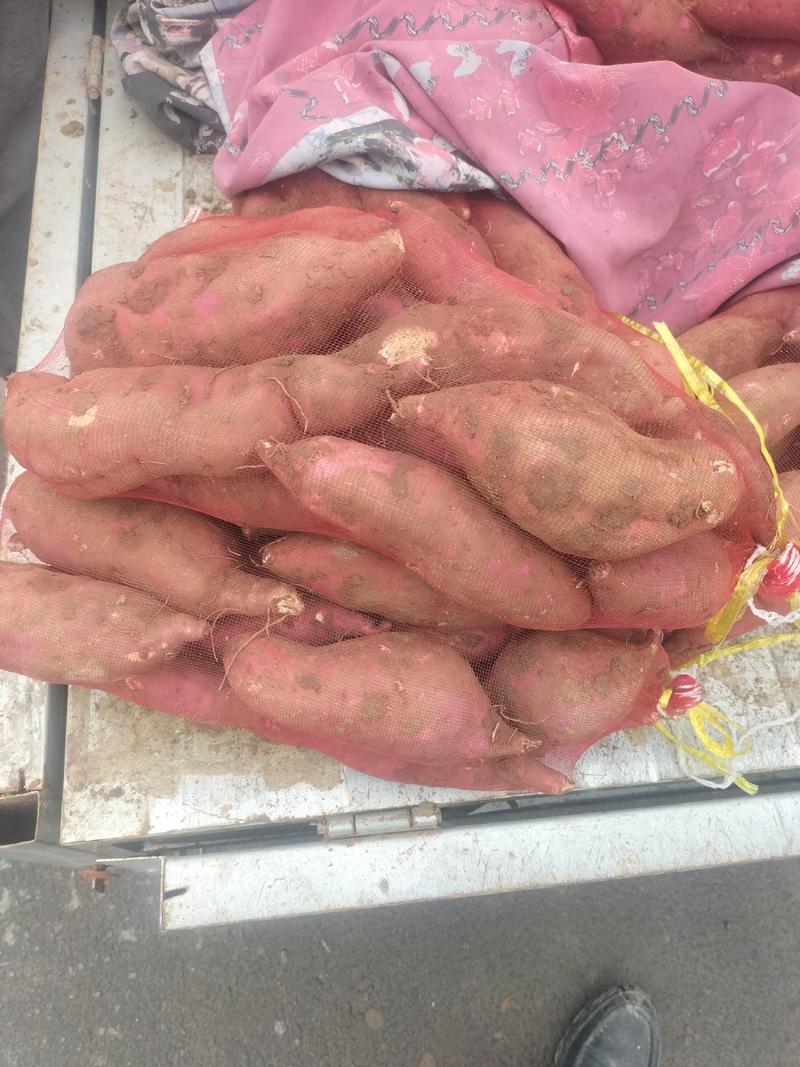红薯大量上市中，品种齐全，质量保证，全国代发。