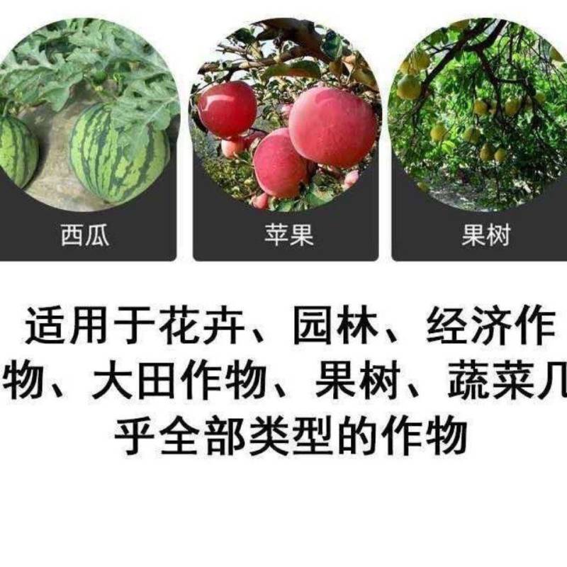 矿源加强型微量元素钙镁硫硼铁锰锌水溶肥果树蔬菜专用有机冲
