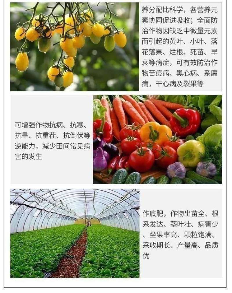 矿源加强型微量元素钙镁硫硼铁锰锌水溶肥果树蔬菜专用有机冲