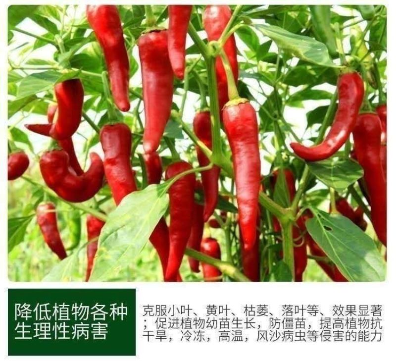 矿源加强型微量元素钙镁硫硼铁锰锌水溶肥果树蔬菜专用有机冲