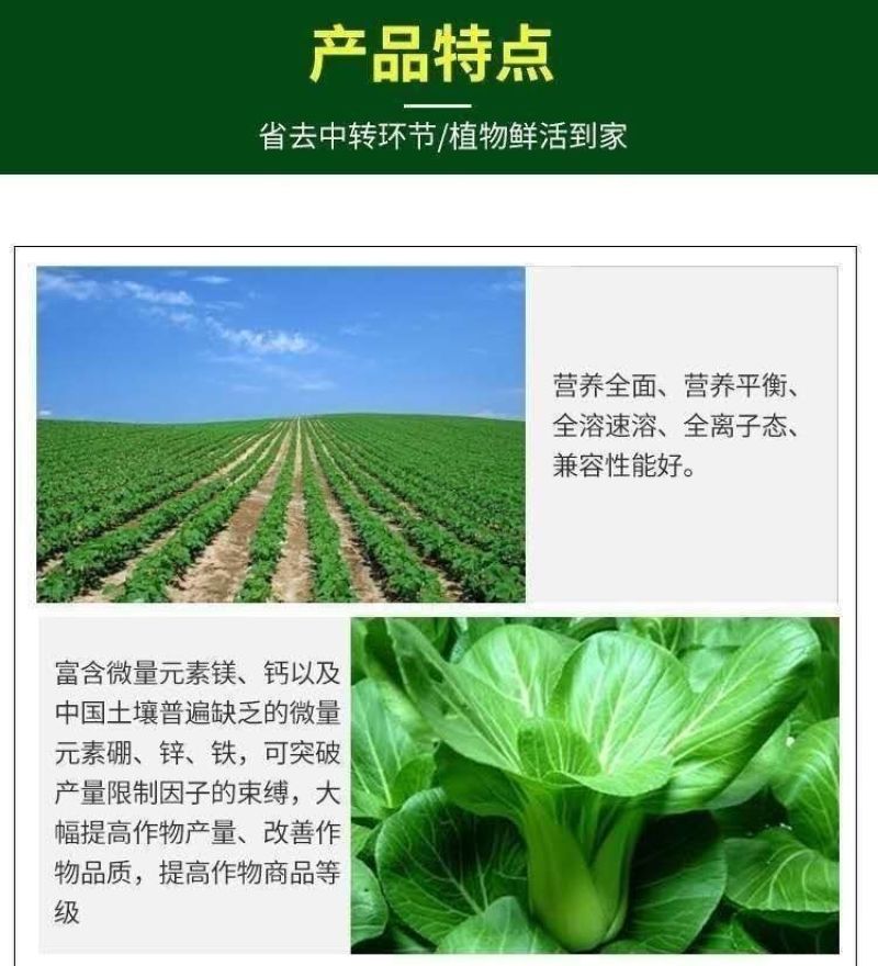 矿源加强型微量元素钙镁硫硼铁锰锌水溶肥果树蔬菜专用有机冲