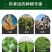 矿源加强型微量元素钙镁硫硼铁锰锌水溶肥果树蔬菜专用有机冲
