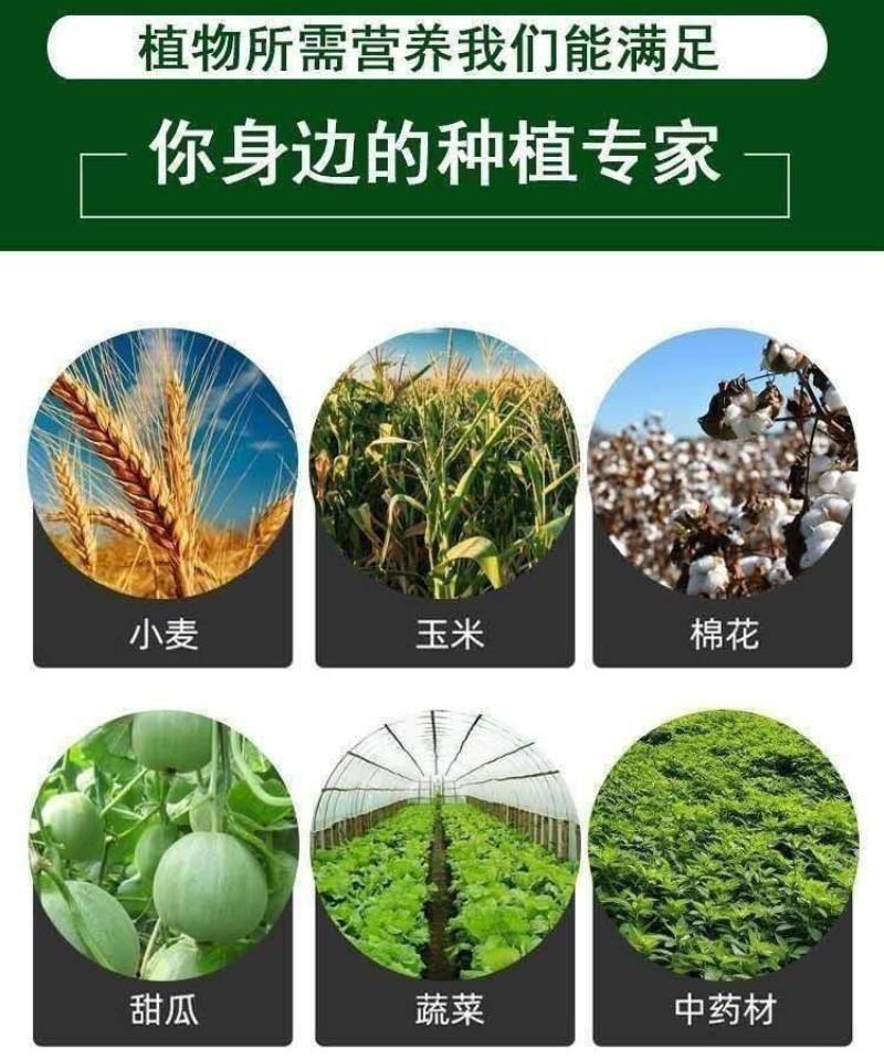 矿源加强型微量元素钙镁硫硼铁锰锌水溶肥果树蔬菜专用有机冲