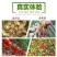矿源加强型微量元素钙镁硫硼铁锰锌水溶肥果树蔬菜专用有机冲