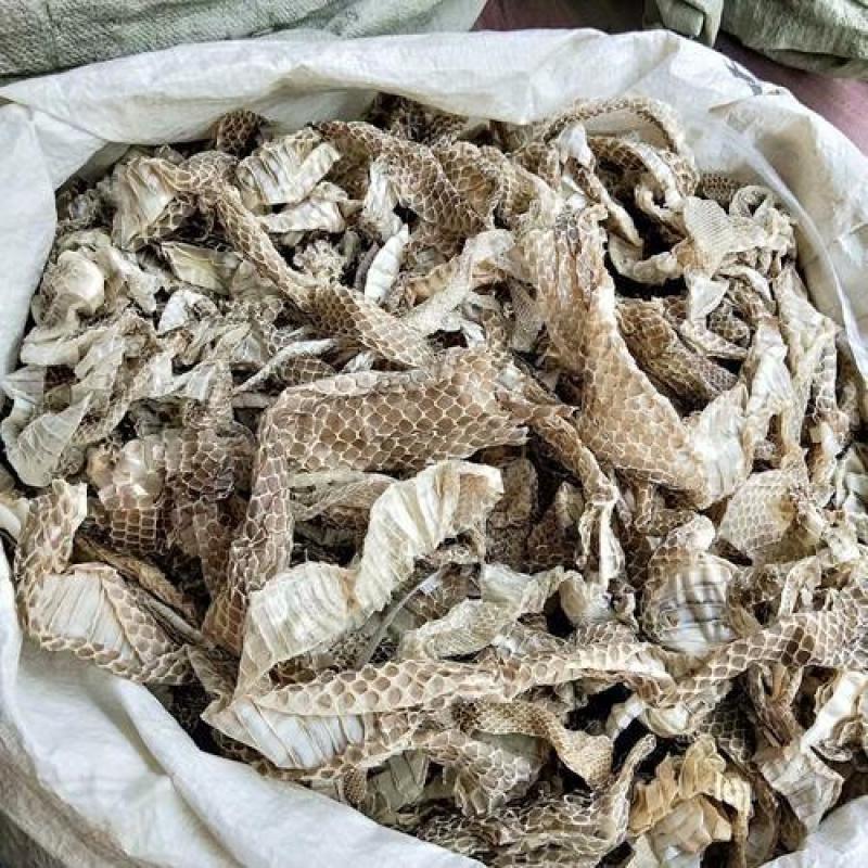 蛇蜕，龙衣，长虫皮，产地直发，实拍现货，质量保证