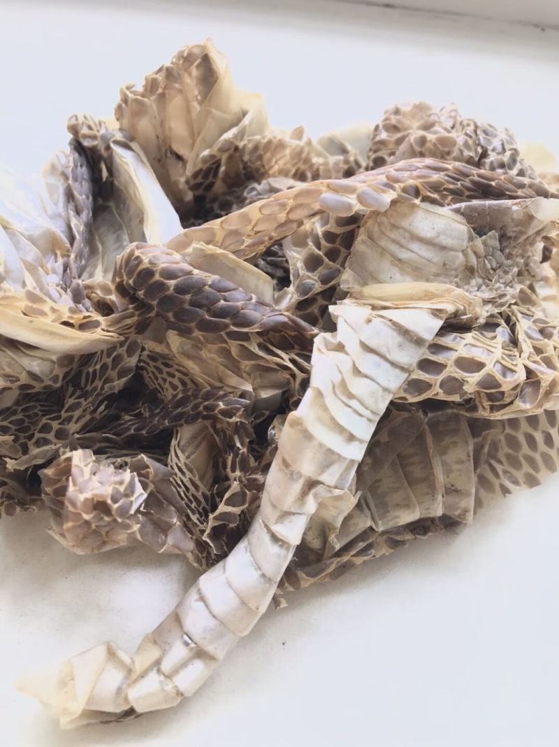 蛇蜕，龙衣，长虫皮，产地直发，实拍现货，质量保证