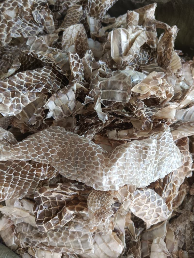 蛇蜕，龙衣，长虫皮，产地直发，实拍现货，质量保证