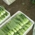 各种叶菜