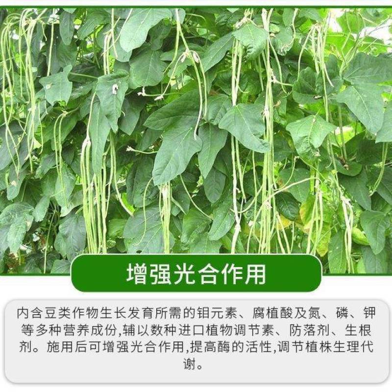 豆类专用肥豆角肥水溶肥桶装豆角芸豆四季豆冲施肥拉直增长架