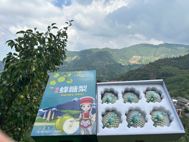 云南省宾川古树蜂糖梨高原品天然源自然味！