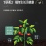 长圆茄子专用肥料水溶肥冲施肥桶装有机肥微生物菌营养液冲施
