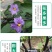 长圆茄子专用肥料水溶肥冲施肥桶装有机肥微生物菌营养液冲施