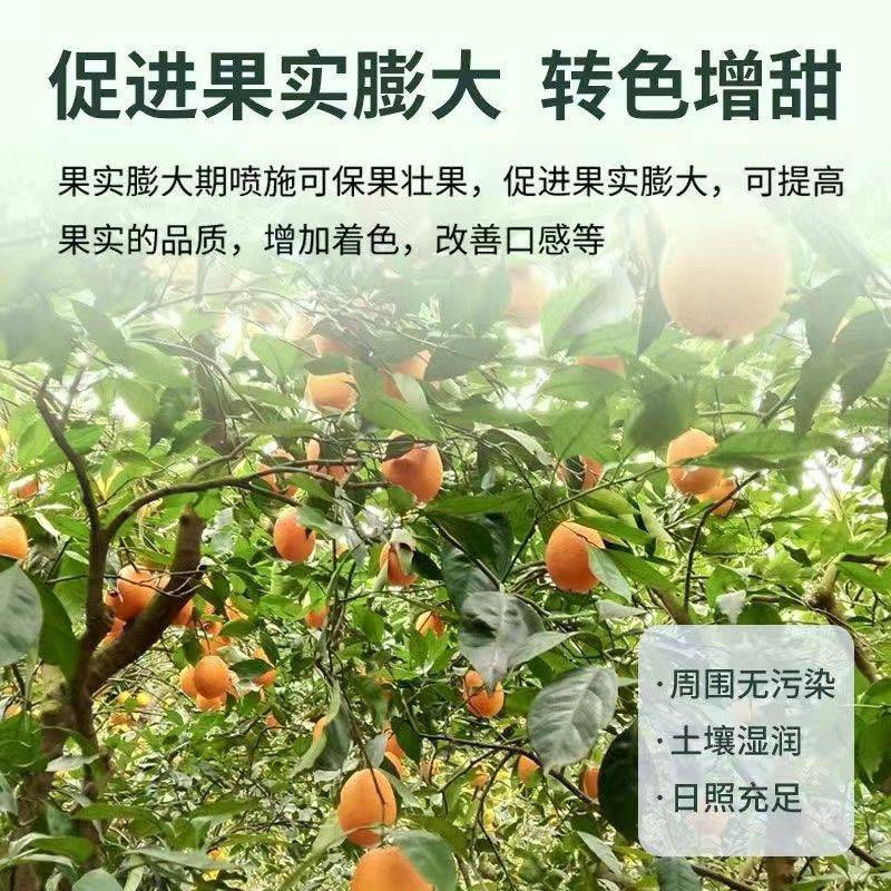 高钙钾宝水溶肥料膨果防裂增甜上色蔬菜瓜果果树番茄草莓西瓜