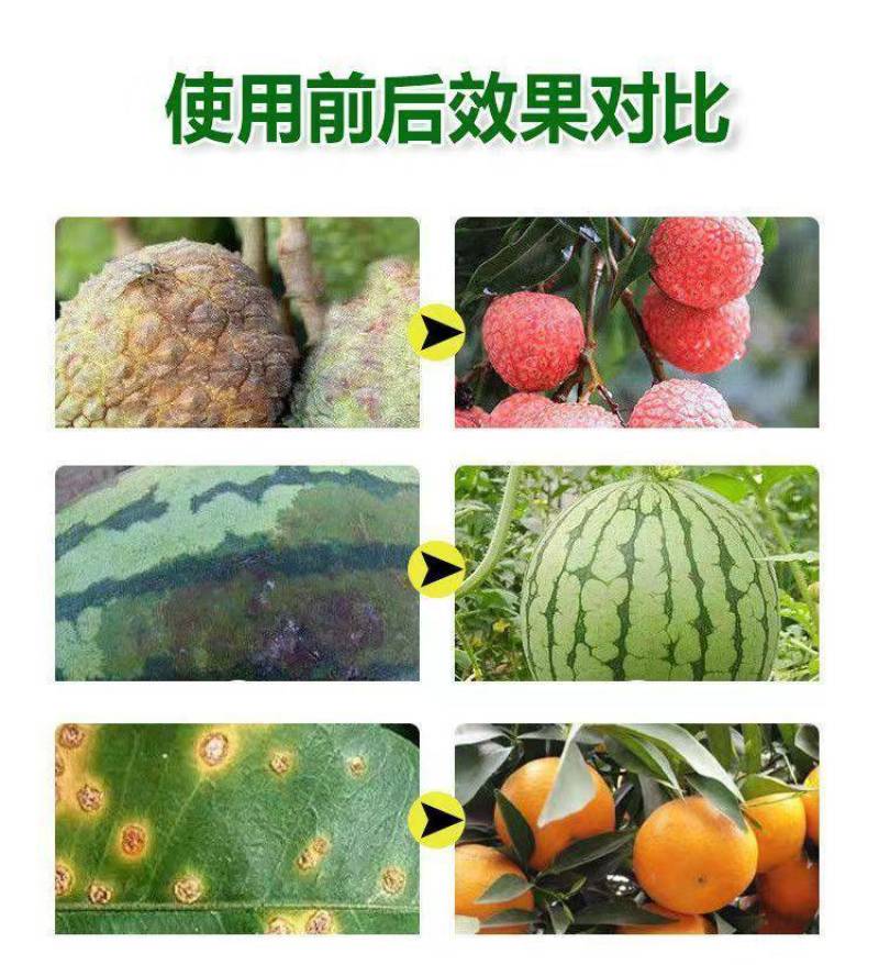 春雷50霉素王铜蔬菜农药溃疡病柑橘角斑病果树细菌杀菌剂正