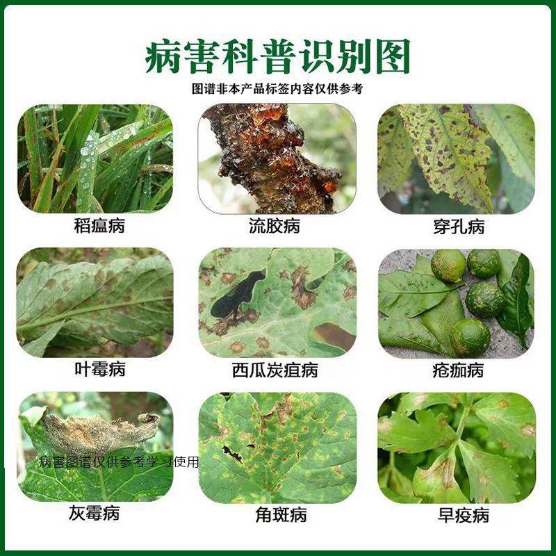 春雷50霉素王铜蔬菜农药溃疡病柑橘角斑病果树细菌杀菌剂正