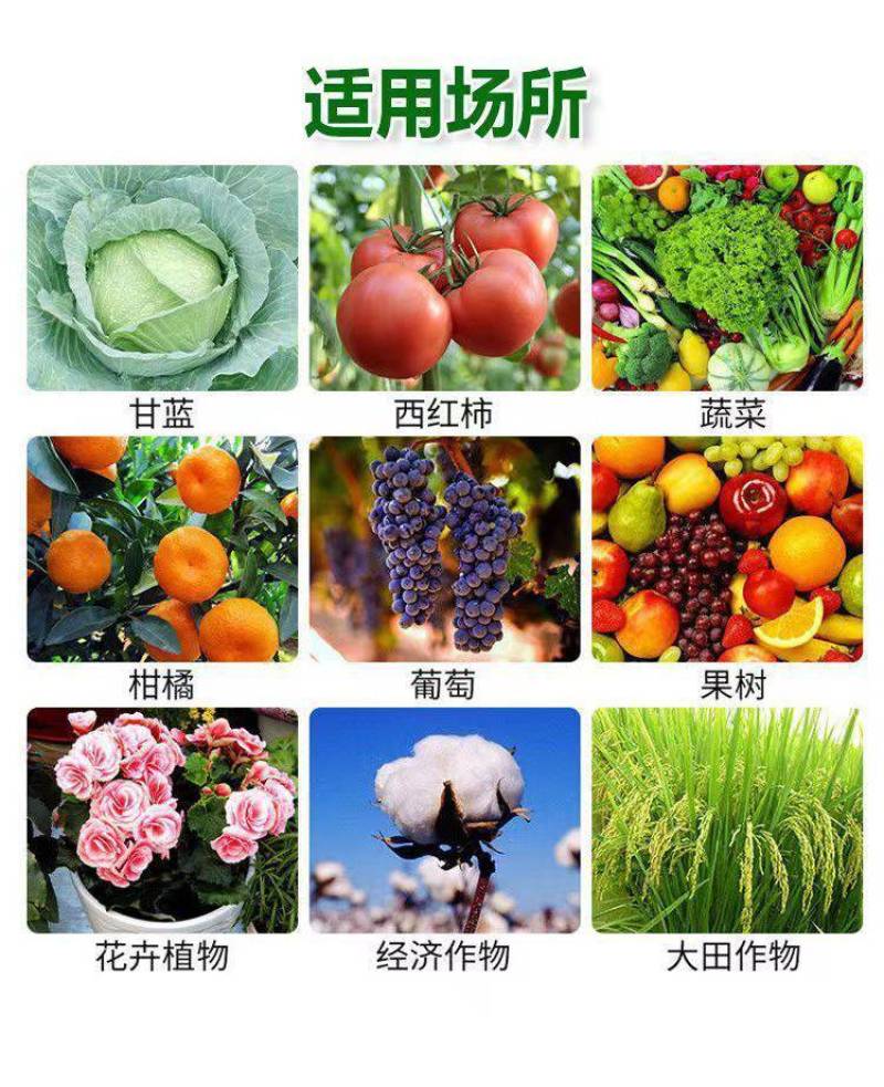 春雷50霉素王铜蔬菜农药溃疡病柑橘角斑病果树细菌杀菌剂正