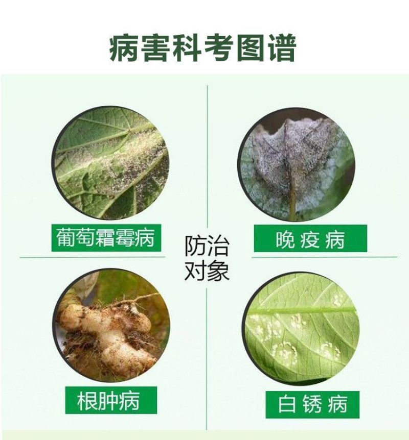 霜霉威722戊唑醇杀菌剂农药黄瓜小麦疫病霜霉病果树猝倒病