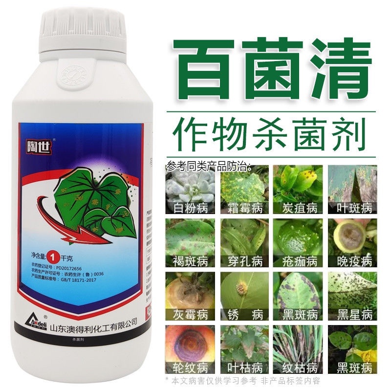 40%百菌清果树蔬菜花卉杀菌剂防治锈病炭疽病叶斑病霜霉病