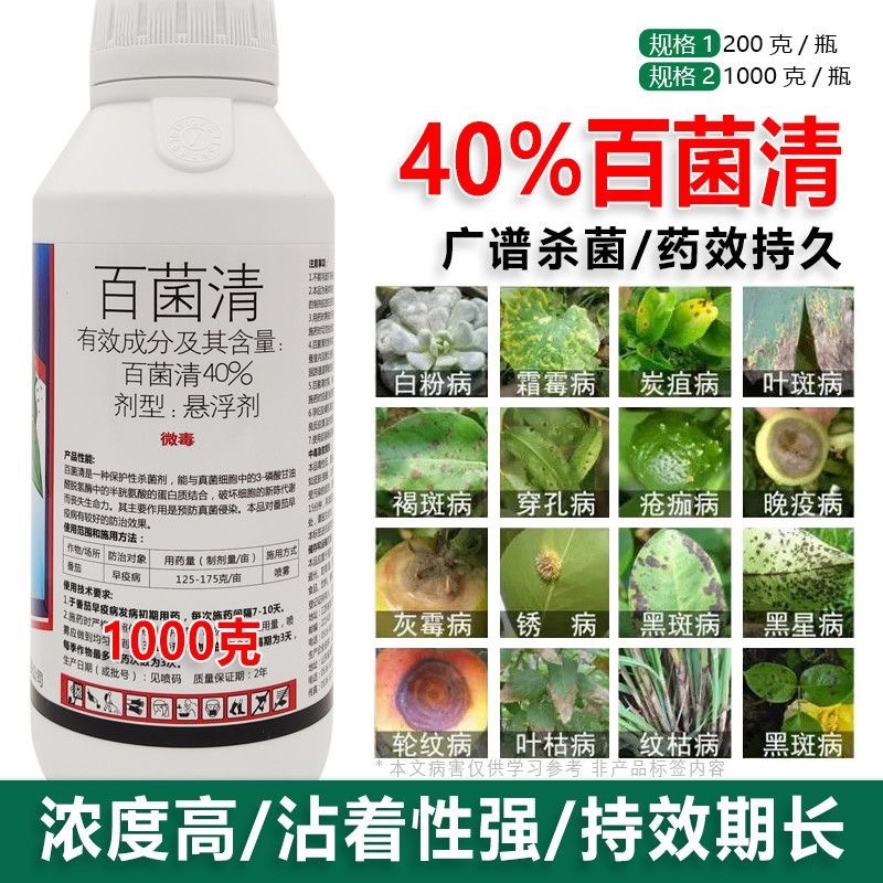 40%百菌清果树蔬菜花卉杀菌剂防治锈病炭疽病叶斑病霜霉病