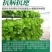 医壤菌发力壮根绿叶膨果钾有机肥果树草莓蔬菜生根冲施肥水溶