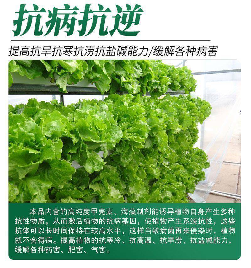 医壤菌发力壮根绿叶膨果钾有机肥果树草莓蔬菜生根冲施肥水溶