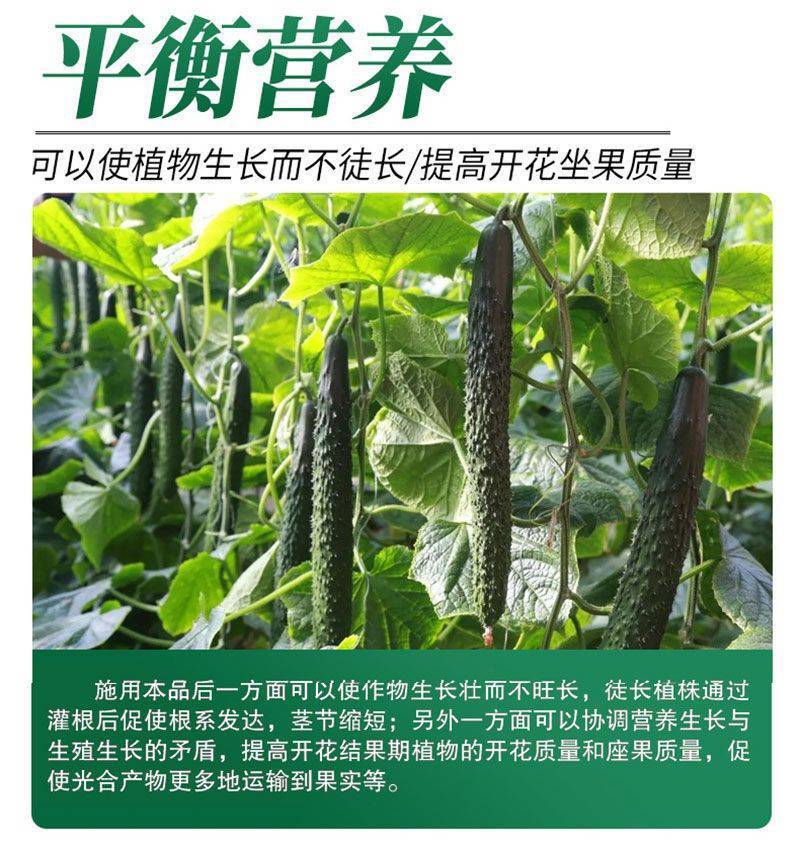 医壤菌发力壮根绿叶膨果钾有机肥果树草莓蔬菜生根冲施肥水溶