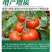 医壤菌发力壮根绿叶膨果钾有机肥果树草莓蔬菜生根冲施肥水溶