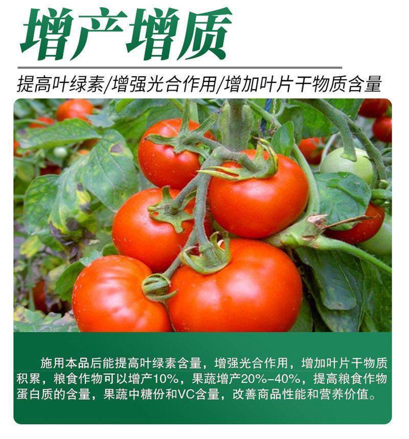 医壤菌发力壮根绿叶膨果钾有机肥果树草莓蔬菜生根冲施肥水溶