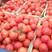 硬粉西红柿-产地直发-量大从优-可验货看视频看货