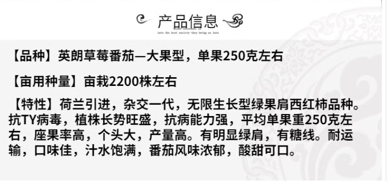 草莓番茄种子绿肩绿腚西红柿种籽草莓西红柿种子大草莓西红柿