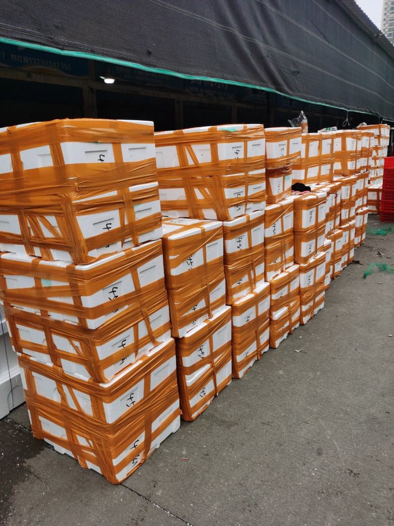 大闸蟹河蟹螃蟹清水蟹一手货源基地直发全国包邮
