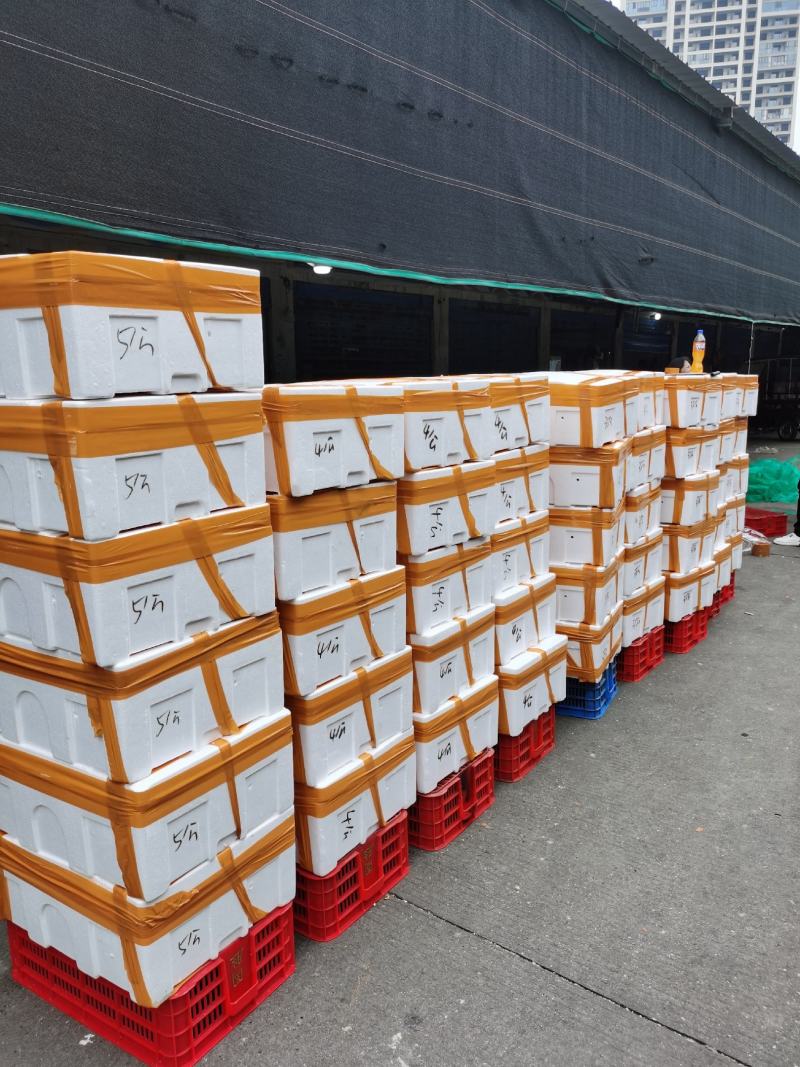大闸蟹河蟹螃蟹清水蟹一手货源基地直发全国包邮