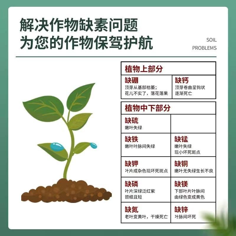 硝酸钙镁高钙高镁中微量元素水溶肥叶面肥撒施滴灌冲施叶喷防