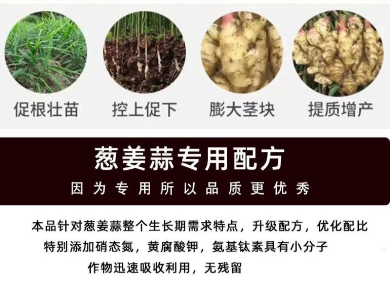 大姜大蒜生姜肥料芋头土豆有机肥料冲施抗病腐生根壮苗膨大