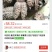 曼陀罗果籽