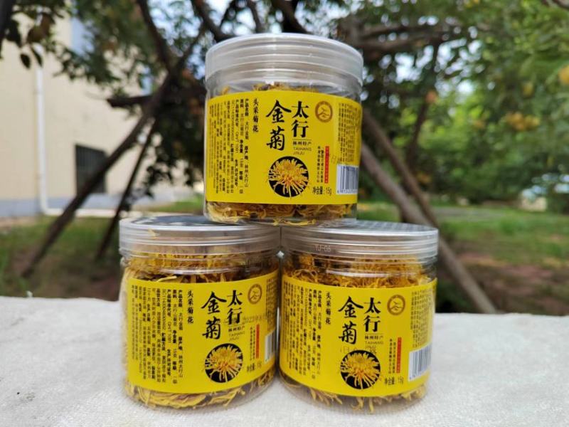 金丝皇菊茶