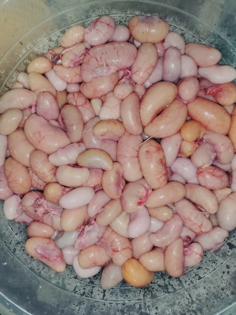 新鲜鸡腰子
