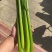 西芹