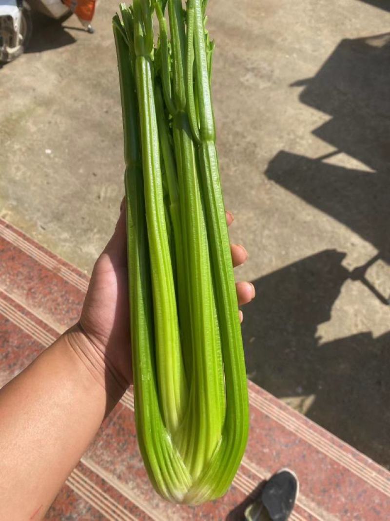西芹