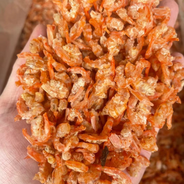 虾米干虾虾仁