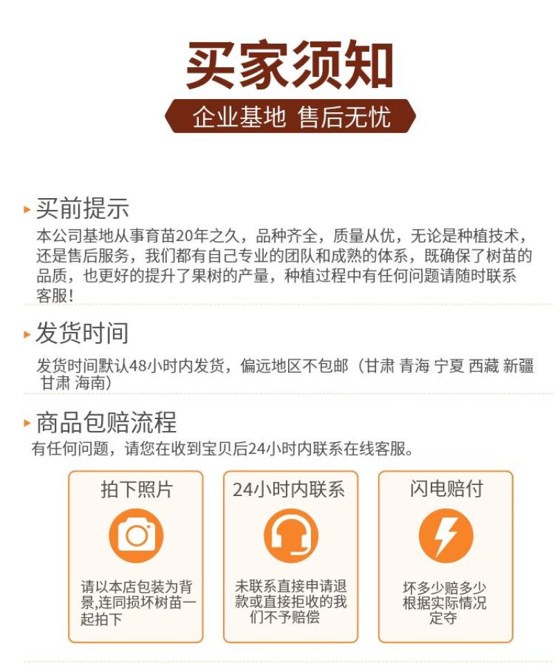 桃树苗特大晚熟中华寿桃金秋红蜜桃苗果园直销一手货源包技术