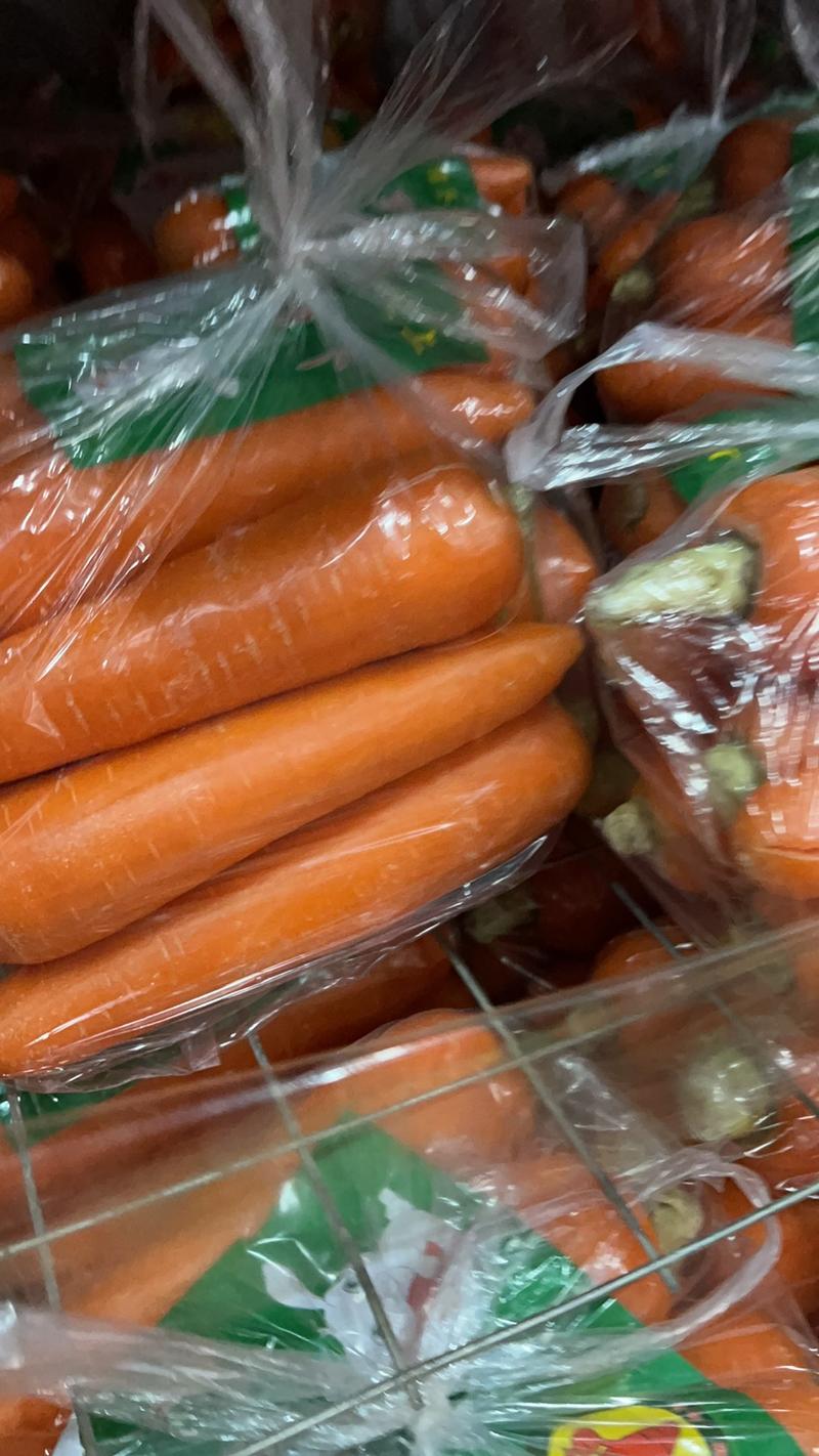 精品红萝卜支持各种包装全国发货