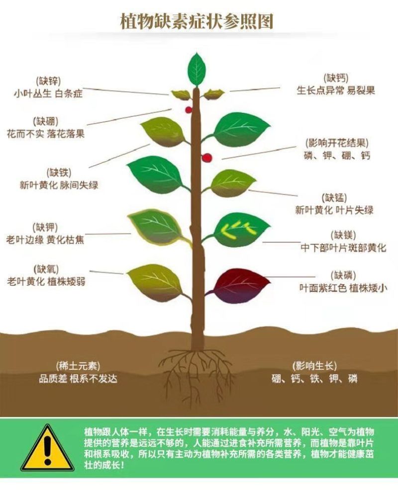 厂家直大量元素平衡型农用水溶肥瓜果蔬菜花卉专用冲施肥滴灌