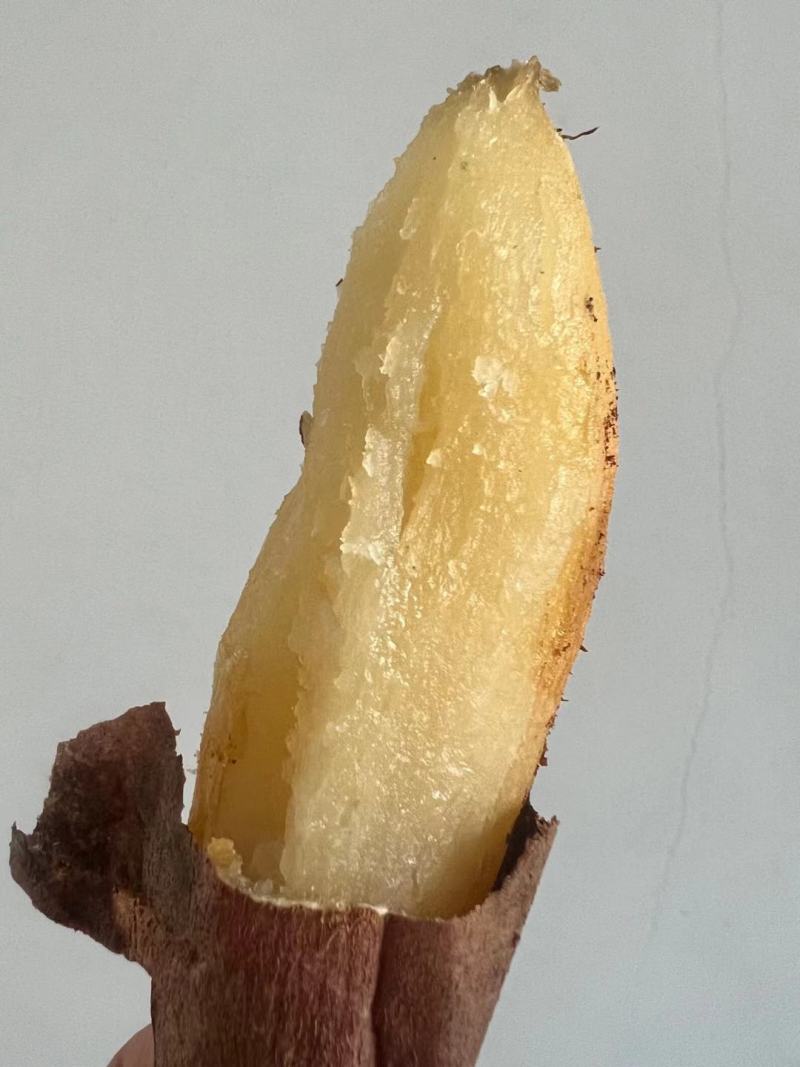 西瓜红，烟薯25，哈密冰糖薯，烤薯，紫薯大量供应