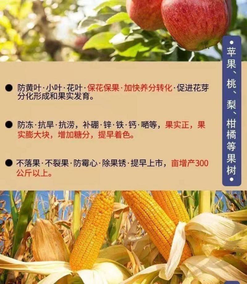 叶菜速长灵蔬菜长得快叶面肥小白菜青菜生菜油麦菜催生速长剂