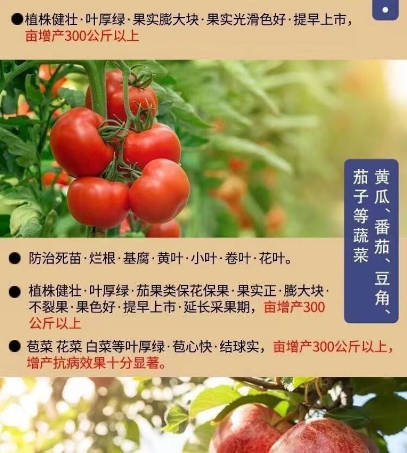 叶菜速长灵蔬菜长得快叶面肥小白菜青菜生菜油麦菜催生速长剂