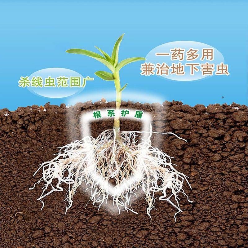 噻唑磷30%微囊悬浮剂根结线虫根瘤病蔬菜果树杀虫杀卵不伤