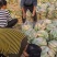 露头青萝卜上市中，电商工厂货养殖货无空心大量供应