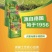 COMPO德国康朴高钾大量元素水溶肥硝态氮通用速溶高浓度