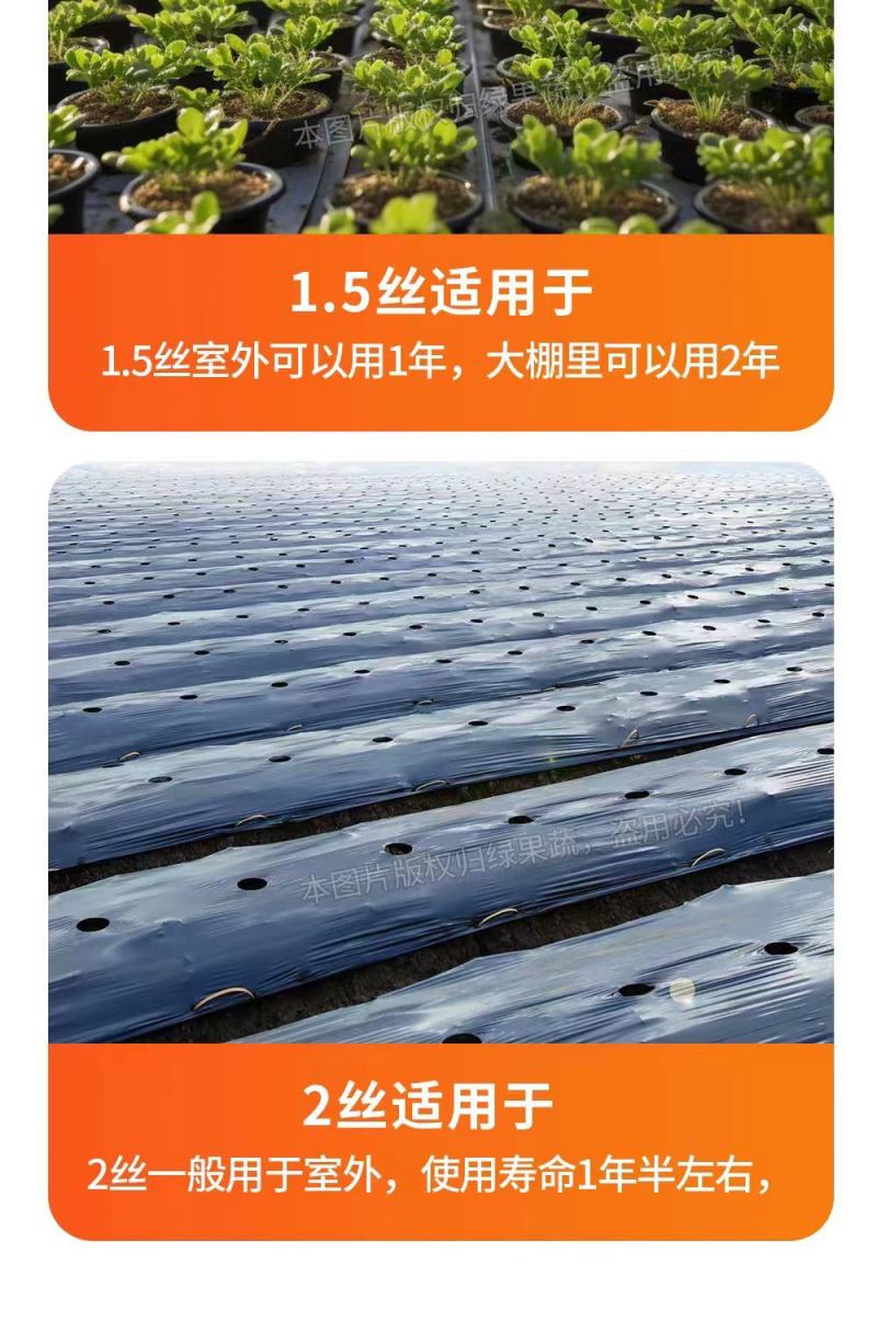 农用银黑地膜防草防虫保湿恒温上色大棚瓜果蔬菜辣椒专用地膜